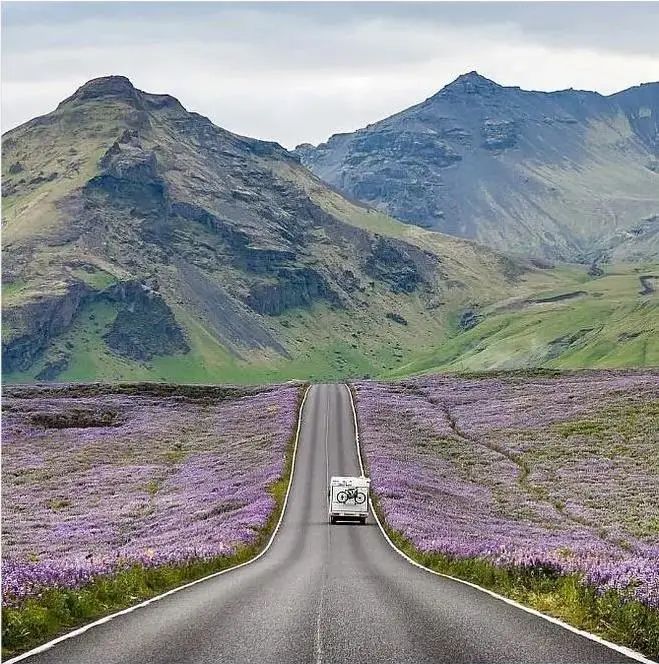 成年人不做選擇題，自由與安穩(wěn)我都要！